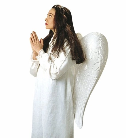 [WID4605A] White Plastic Angel Wings 81 x 77 cm