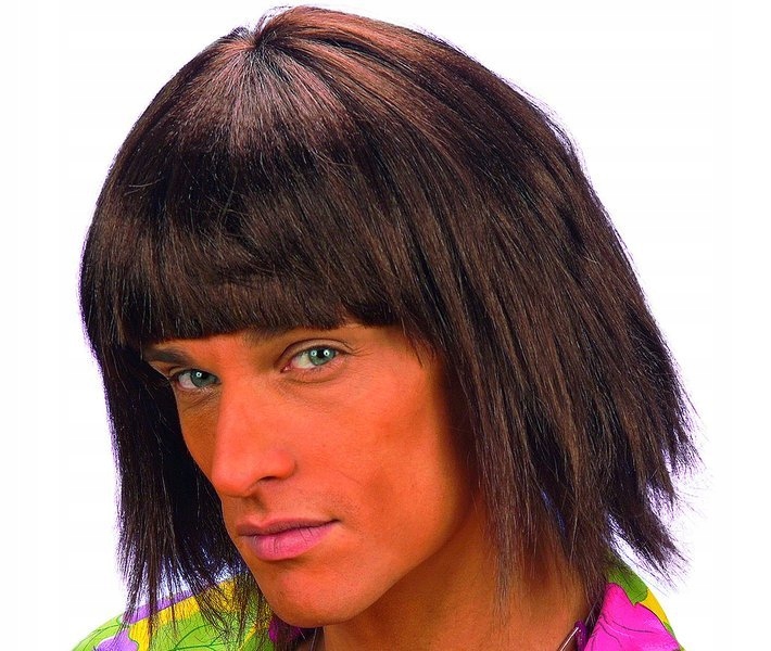 Perruque Beach Boy