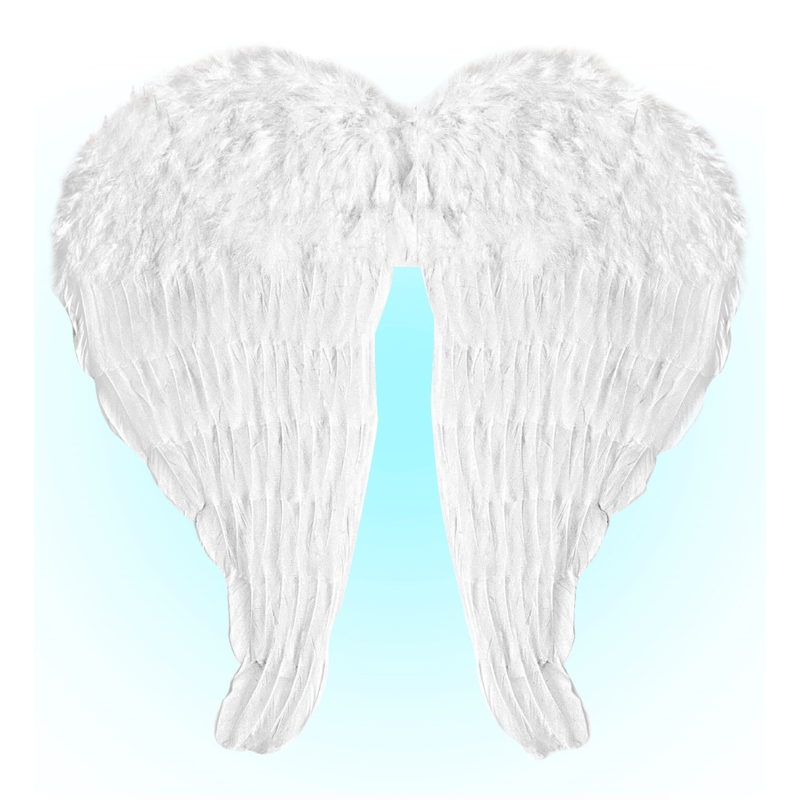 [WID8644H] Ailes en Plumes Blanches 51*46 cm