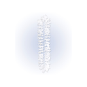 Collier Hawaiien en tissu Blanc