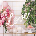 Location néon LED "Love"