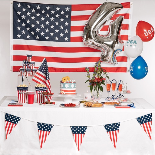 [BOL44954] Drapeau USA sur hampe