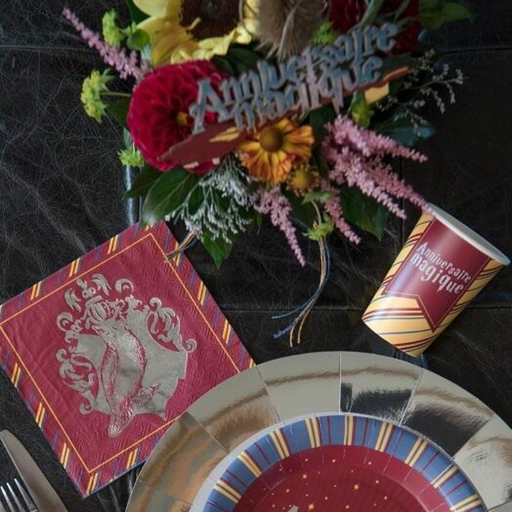 [SAN7595] 10 Gobelets "Anniversaire magique" - Harry Potter