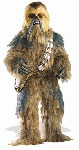 Mascotte Choubaka - Location