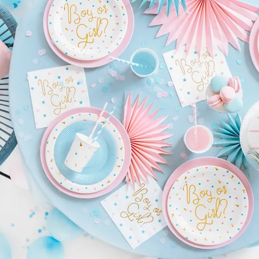 [PARTPP44] 6 Assiettes "Boy or Girl ?"