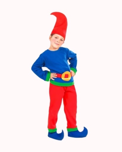 [WID4374W] Déguisement de Gnome pour garçon