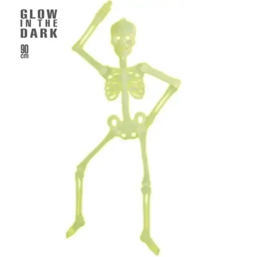 [WID5219W] Squelette amovible décoratif