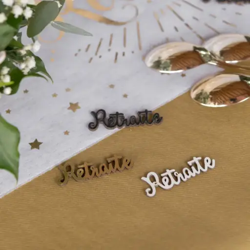 [SAN8399/0-1] Confettis 'Vive la retraite'