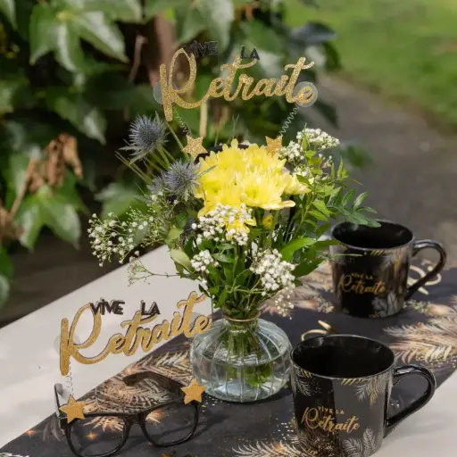 [SAN9377/0-11] Serre-tête 'Vive la Retraite'