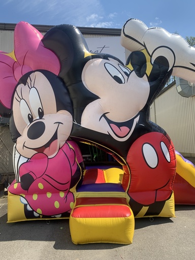 [A041] Mickey et Minnie location 1 jour