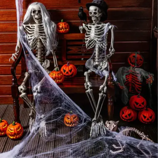 Toile d'araignée avec araignées