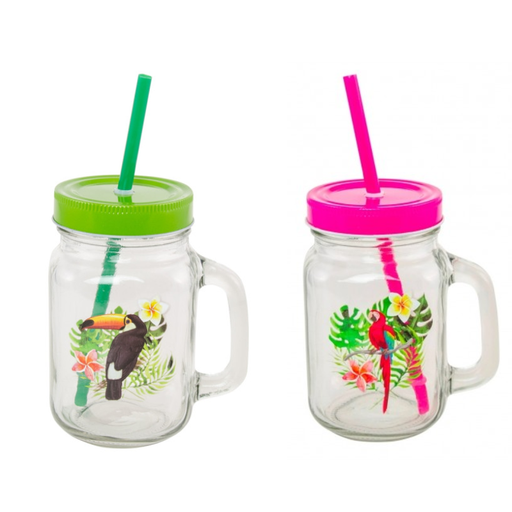 JAR VERRE PERROQUET COUV/PAILLE FUCHSIA 470ML 10.6X7.8X19.5CM
