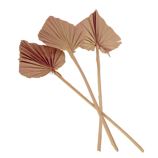 10 FEUILLES DE PALMIER DECOUPEES 55CM NATUREL