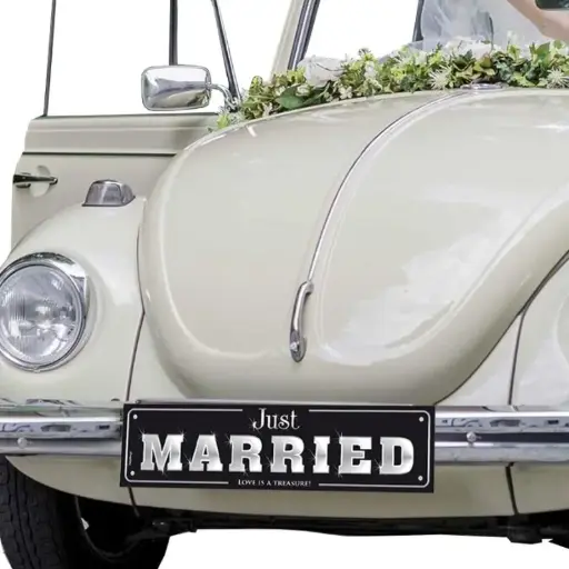 [PARTT75] Plaque d'immatriculation en carton "Just Married"