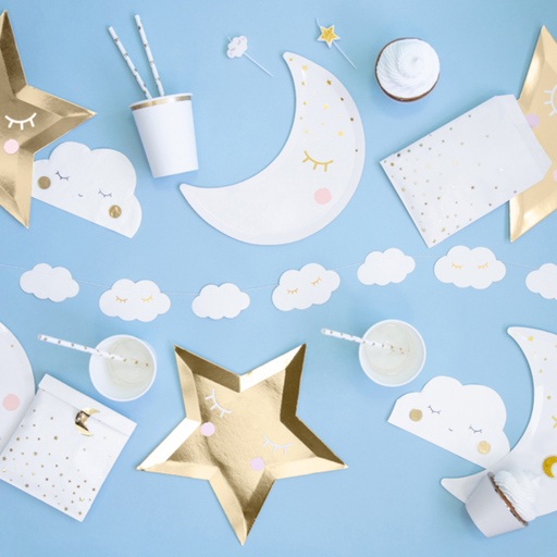 [PARTPP37-008] 6 Assiettes Lune