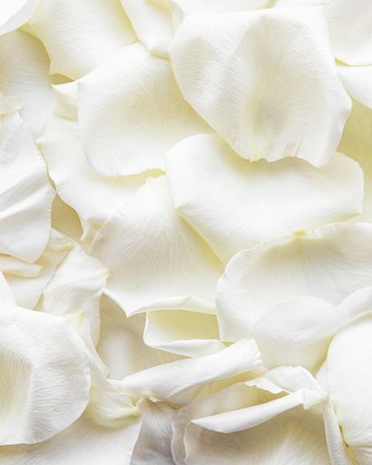 [PARTUKP40-008] Canon à confettis Pétales Blancs