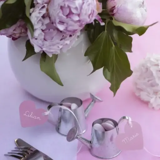 [SAN5281] 2 mini arrosoirs en métal