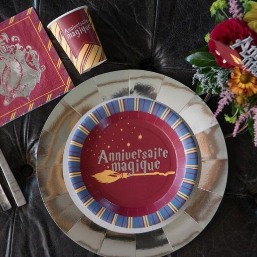 [SAN7594] 10 Assiettes "Anniversaire Magique" - Harry Potter