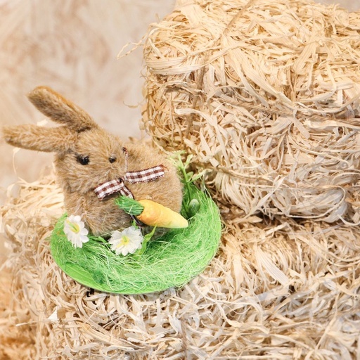 [CHA10215] Mini Lapin sur pelouse